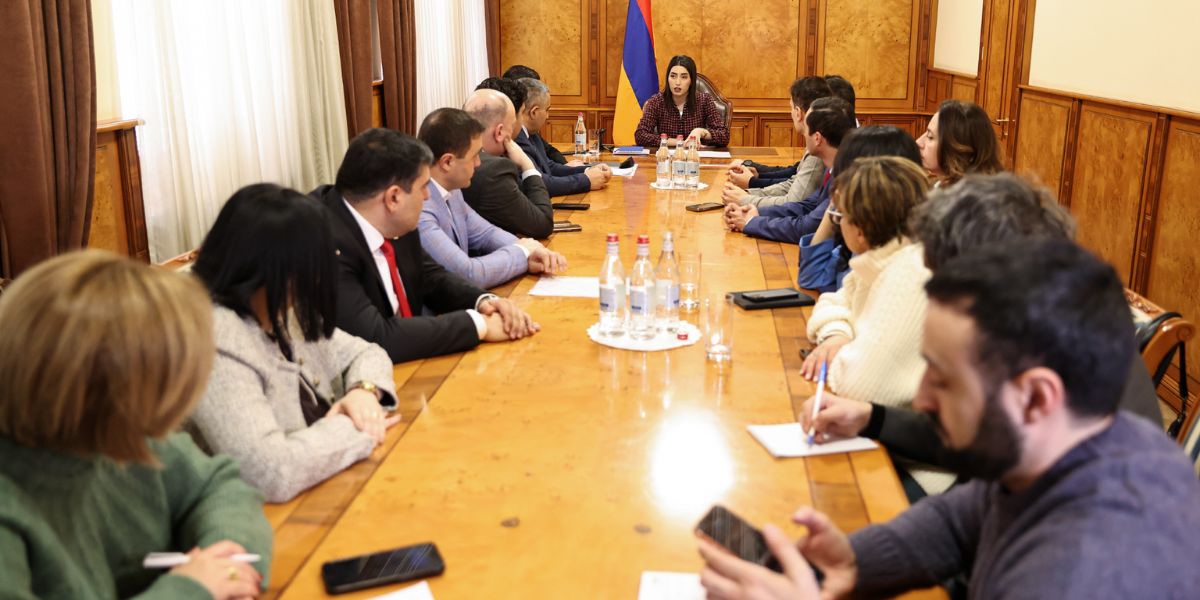 Տեղի է ունեցել ՆԳ նախարարին կից հասարակական խորհրդի առաջին նիստը